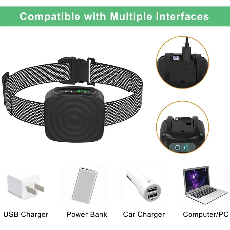 Anti-Barking Collar: Ultrasonic USB Training Device - Majestic Pet Kingdom