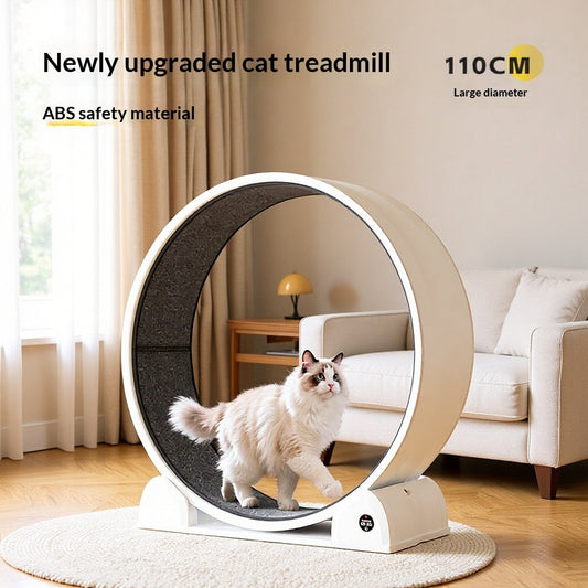 Smart, Displayable ABS Cat Treadmillcats Love To Play | Purrfect Pet Kingdom