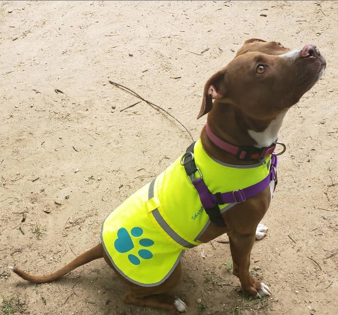 Reflective Dog Vest Hi-Vis M Size Yellow - Majestic Pet Kingdom