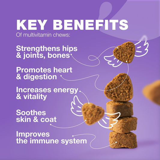 Dog Multivitamin Chews 15-in-1 MSM Joint Mobility Chews 120ct