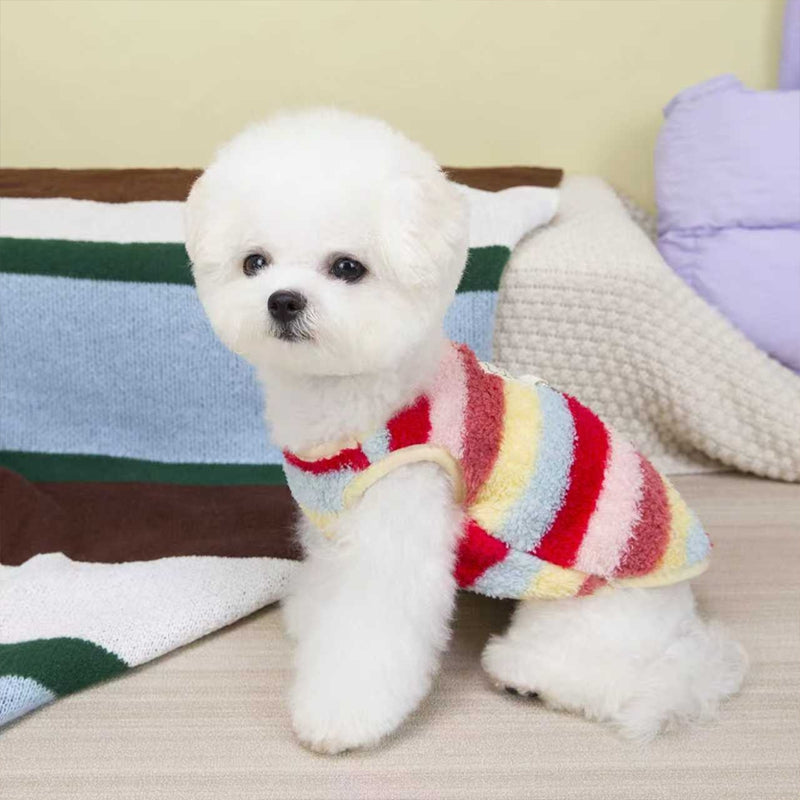 Dog Coat Cute Bear Label Two-Legged Winter Clothing