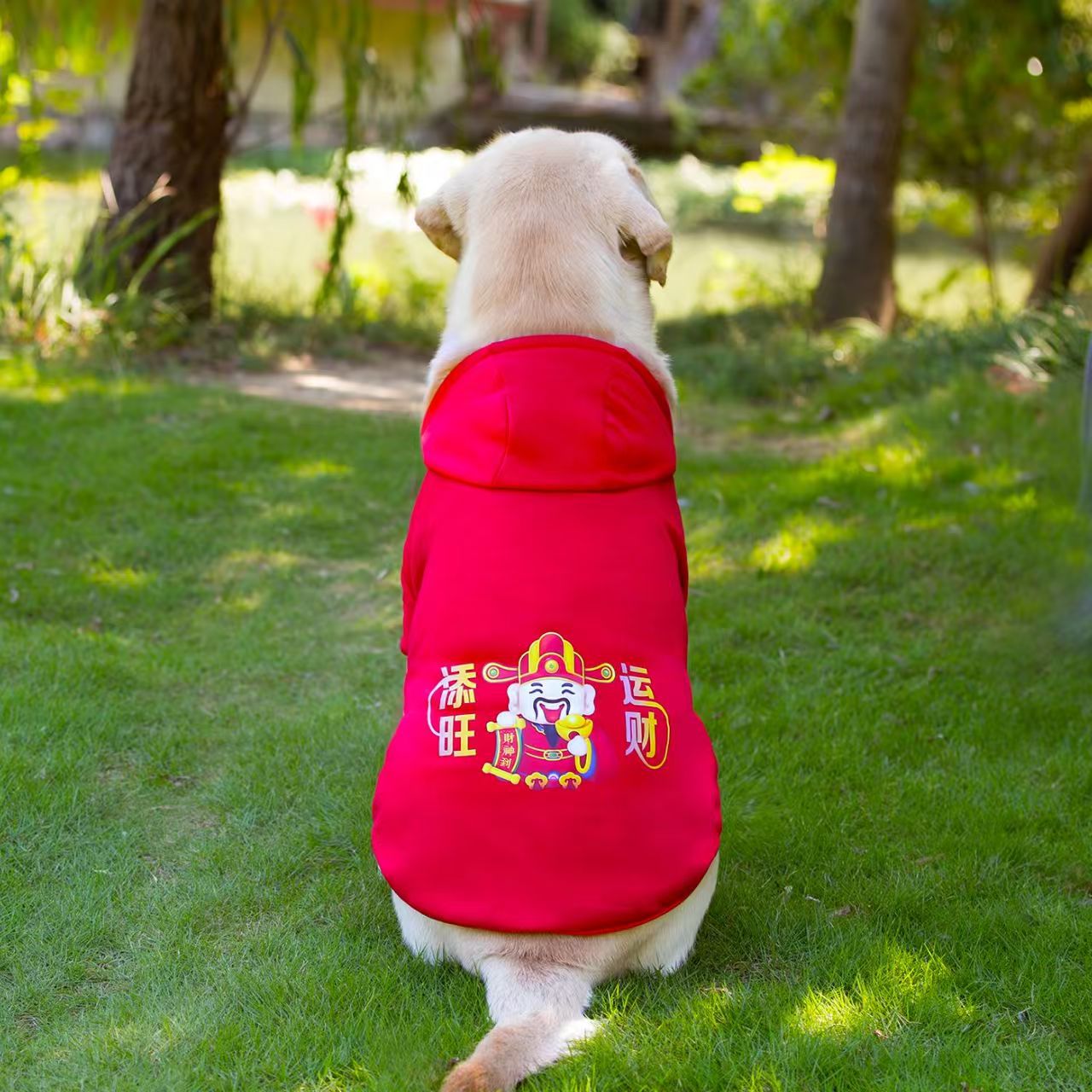 Pet Product - Premium Pet Accessory
