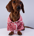 Pet Product - Premium Pet Accessory