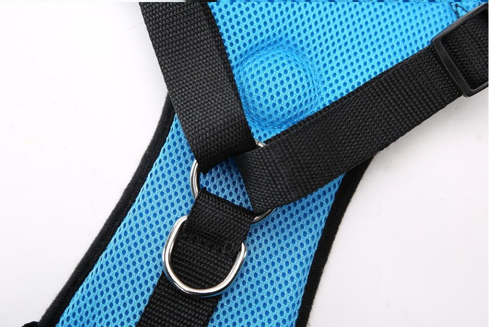 Luxury Pet Essentials - Purrfect Pet Kingdom™
