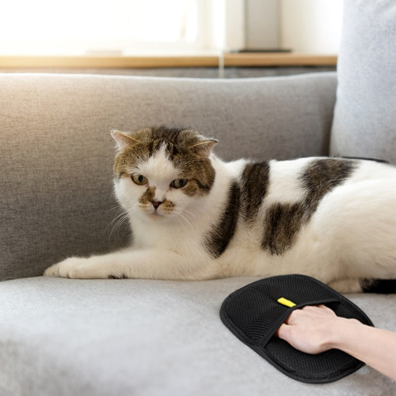 Pet Hair Remover Gloves: 3-in-1 Grooming & Deshedding