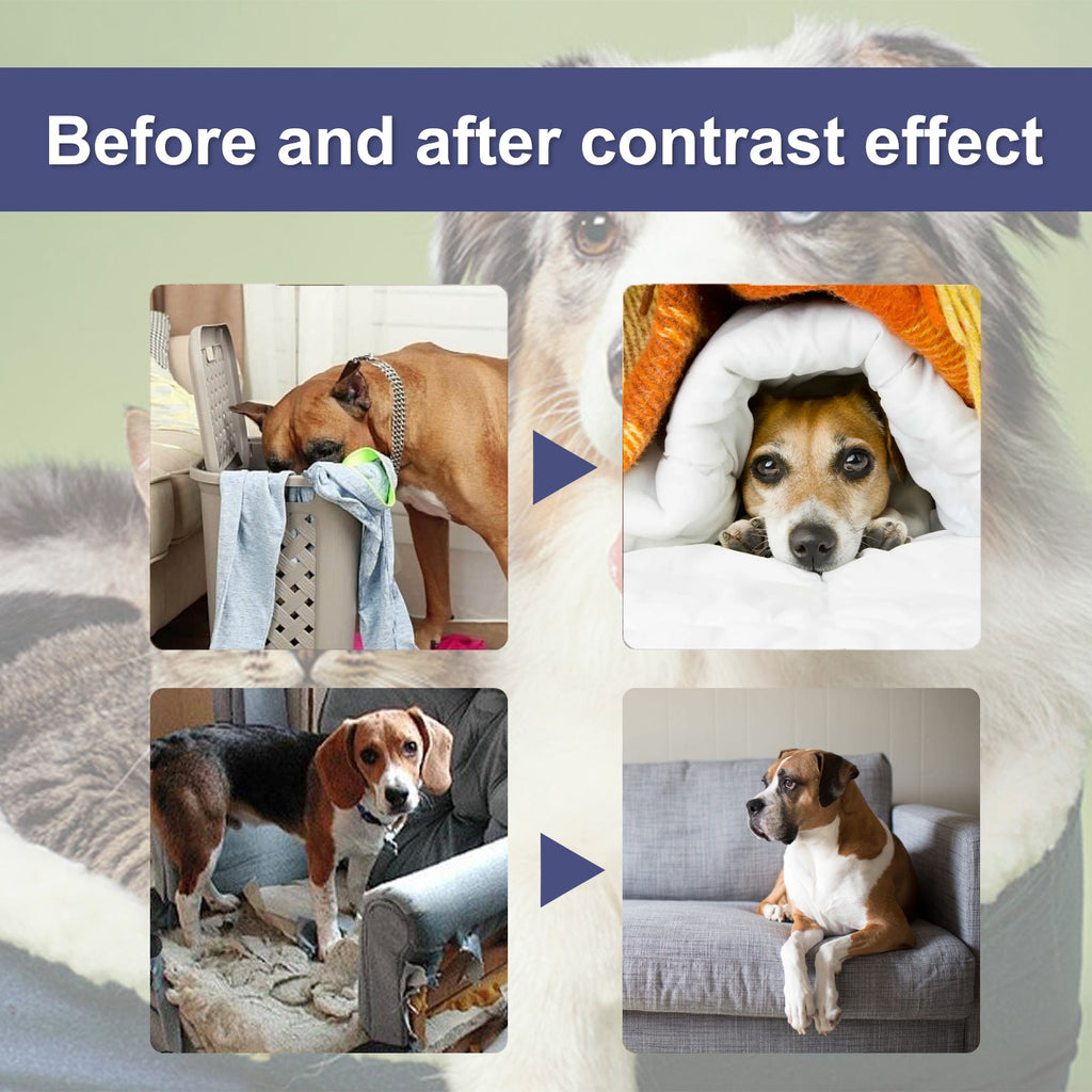 Bitter Anti-Chewing Spray: Furniture Protection Repellent - Majestic Pet Kingdom