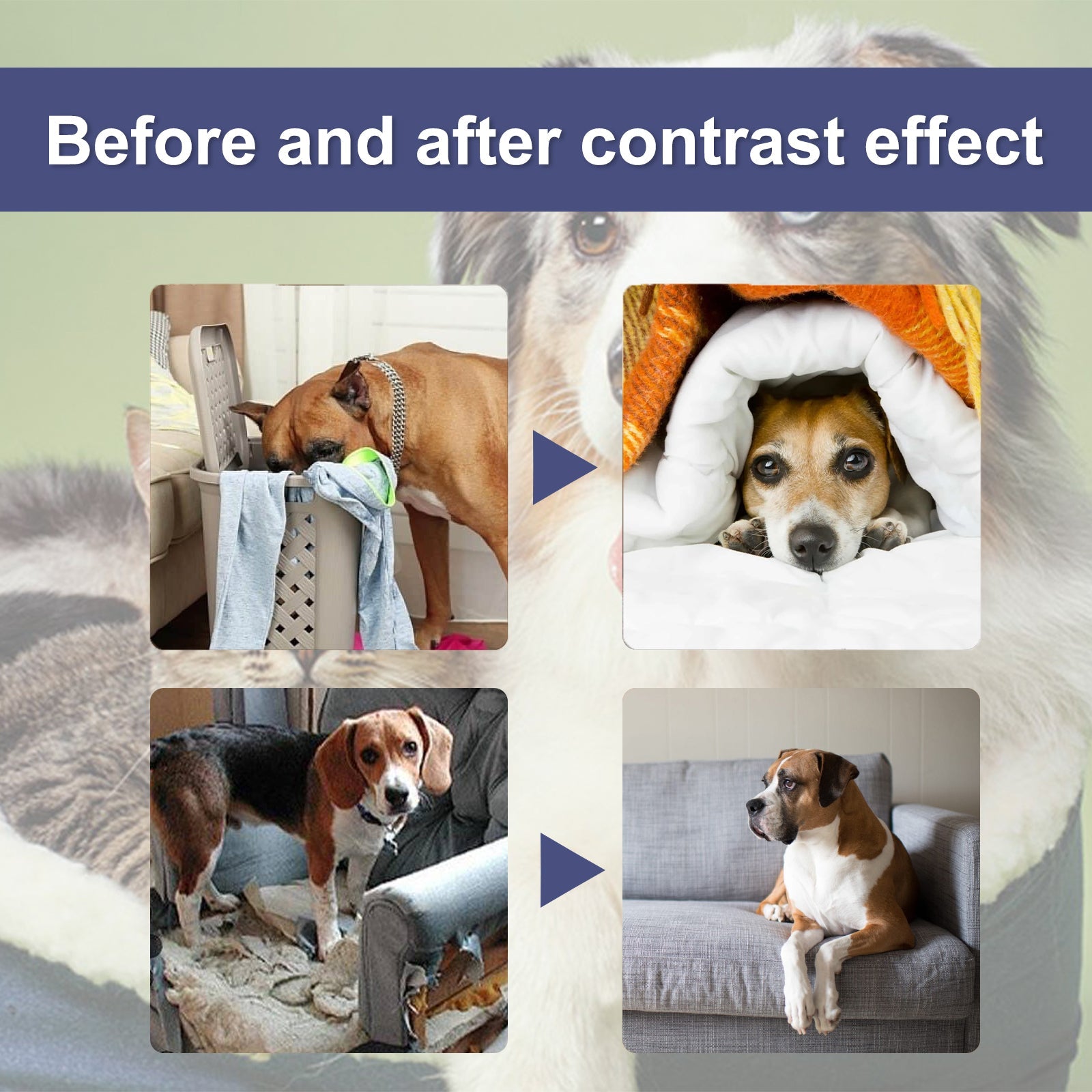 Bitter Anti-Chewing Spray: Furniture Protection Repellent - Majestic Pet Kingdom