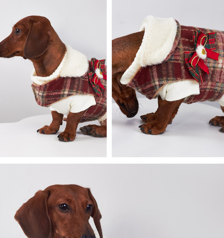 Pet Product - Premium Pet Accessory