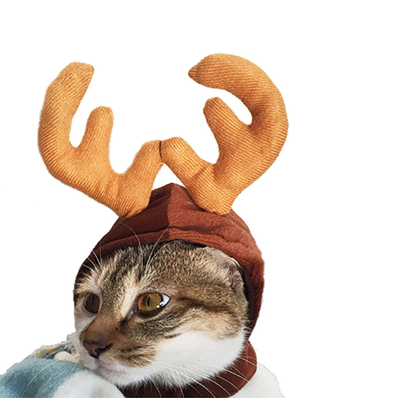 Luxury Pet Essentials - Purrfect Pet Kingdom™