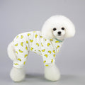 Pet Product - Premium Pet Accessory