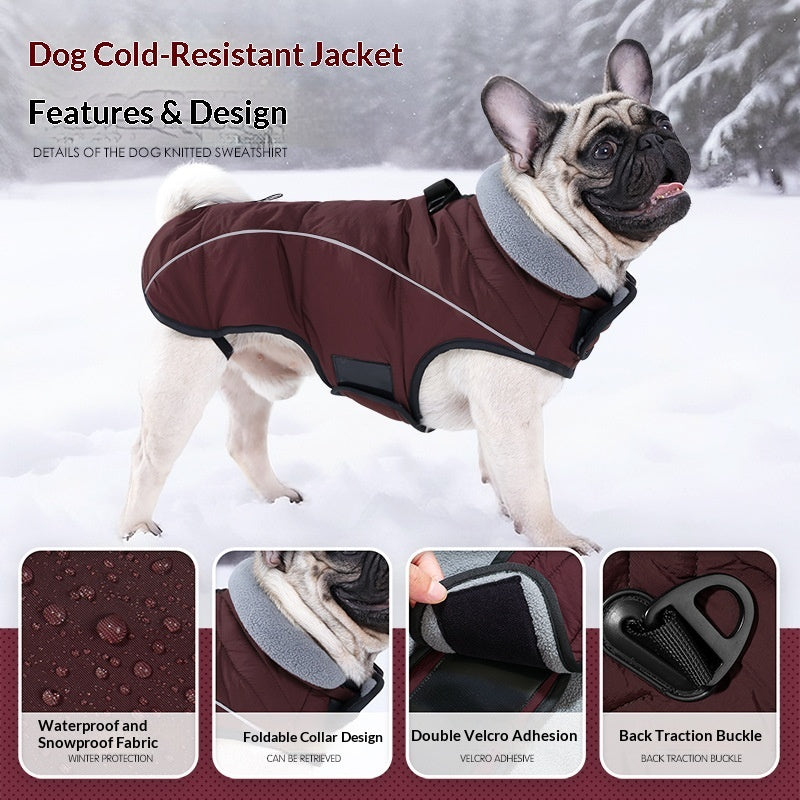 Pet Product - Premium Pet Accessory