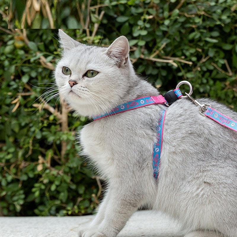 Luxury Pet Essentials - Purrfect Pet Kingdom™