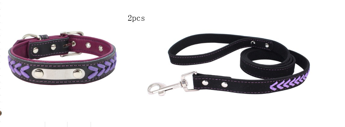 Stainless Steel Iron Dog Collar with Laser Lettering | Purrfect Pet Kingdom