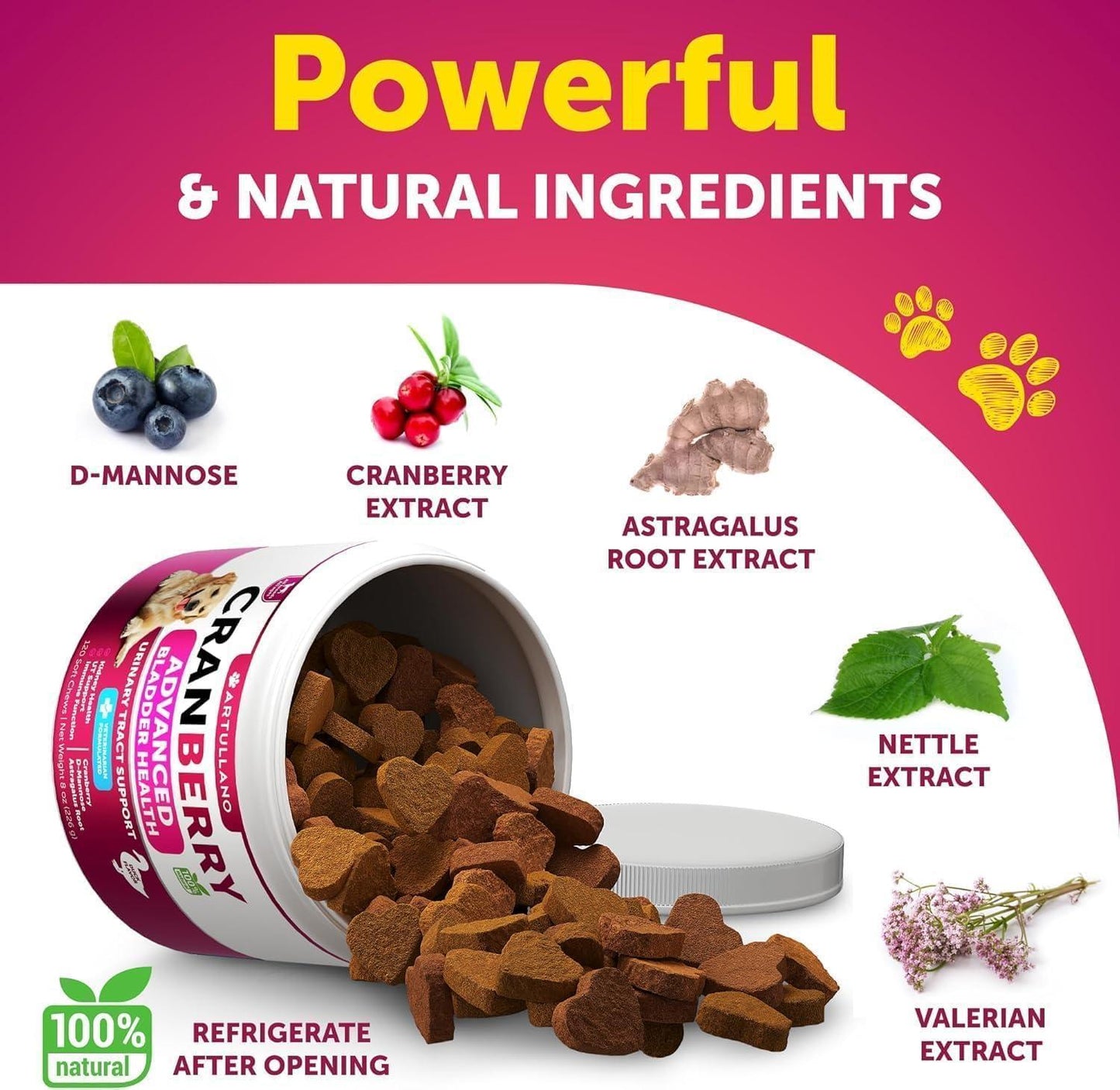 Dog UTI Treatment Chews - Cranberry Bladder Support 240ct