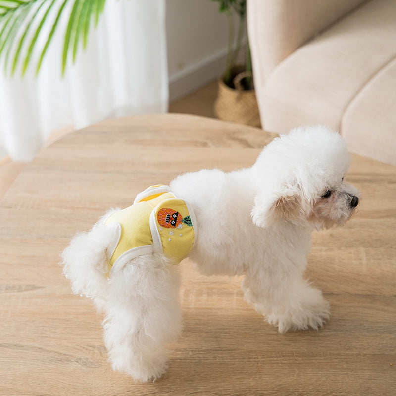 Pet Product - Premium Pet Accessory