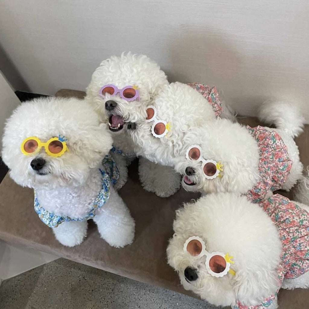 Dog Cat Cute Sunglasses Jewelry Photo Pet Wellness Essential | Majestic Pet Kingdom™