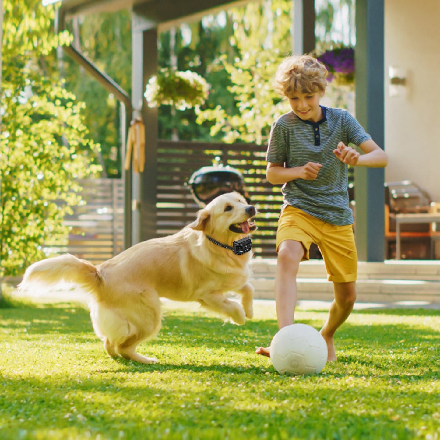 Wireless Dog Fence System with Training Collar - 722FT Range | Purrfect Pet Kingdom