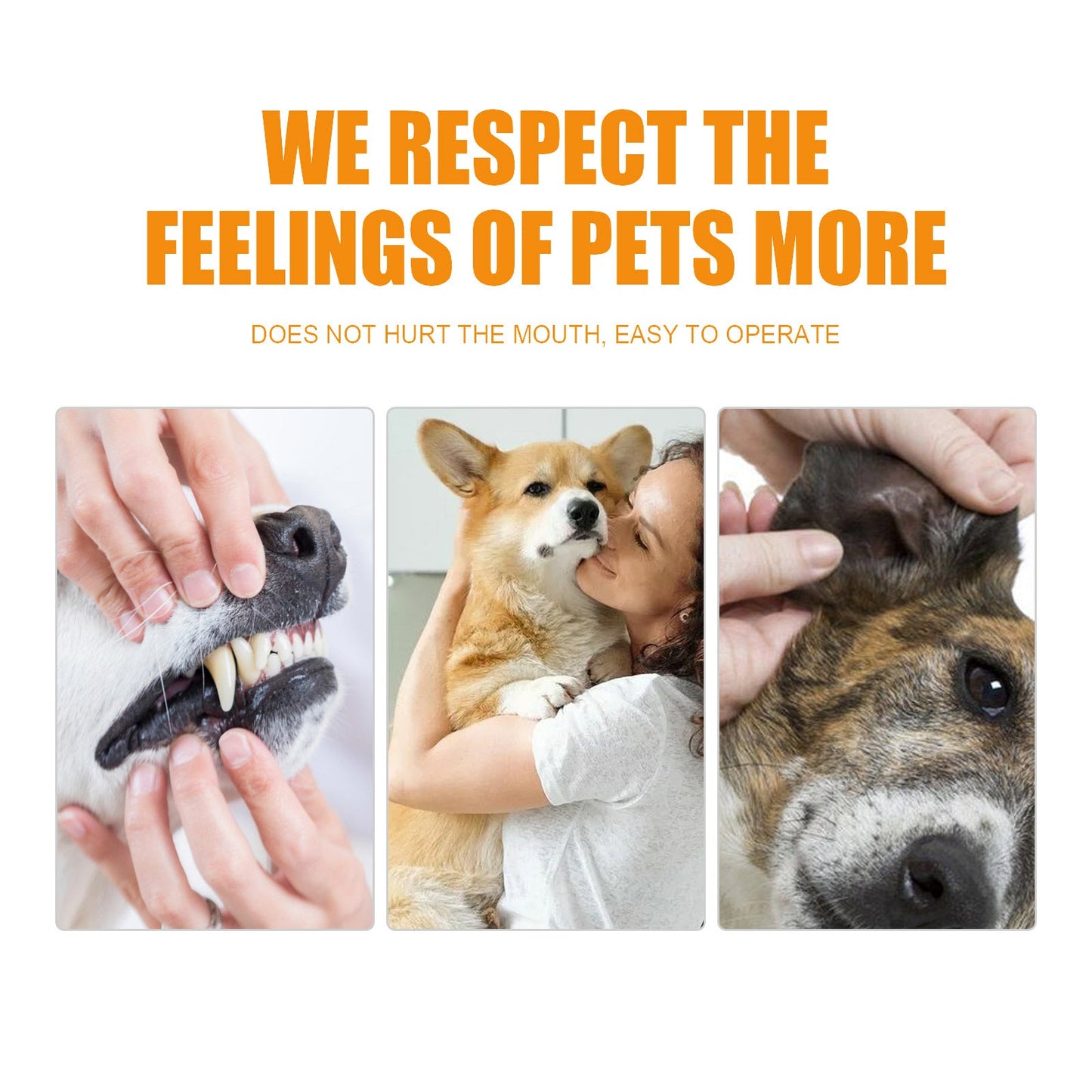 Pet Teeth Cleaning, Dog Cat Teeth Clean Tartar Stones Fresh Breath | Purrfect Pet Kingdom