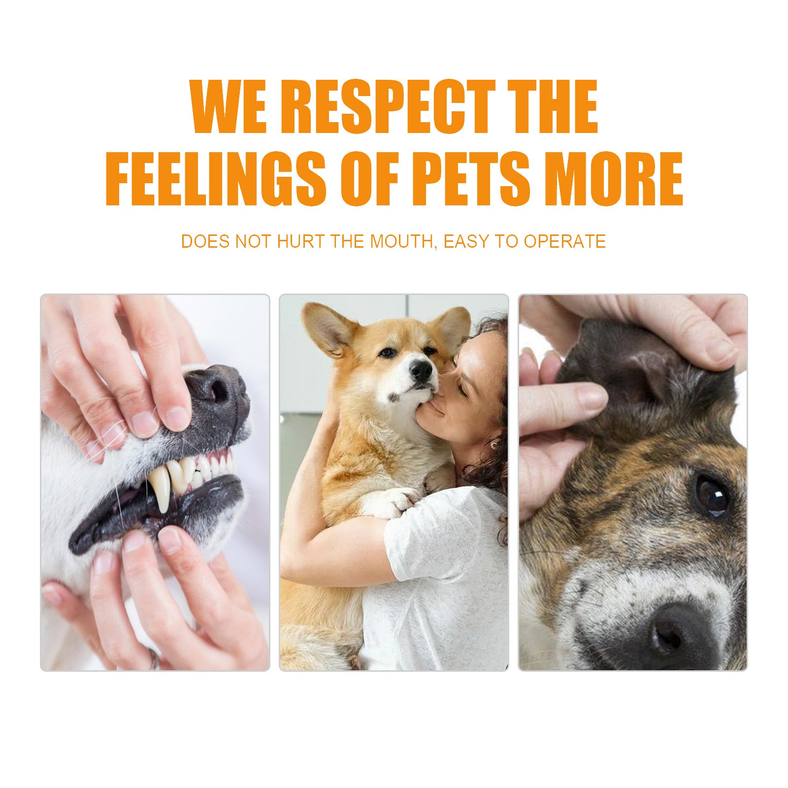 Pet Teeth Cleaning, Dog Cat Teeth Clean Tartar Stones Fresh Breath | Purrfect Pet Kingdom