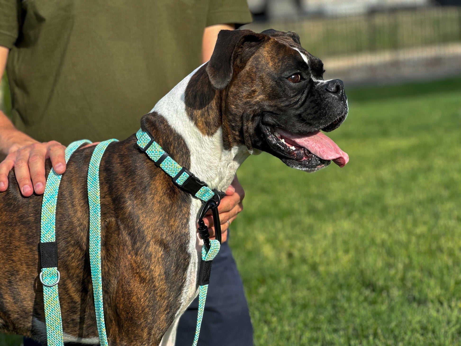 Dog Leash Climbing Rope Flat Weave Heavy-Duty Walking Lead - Detail Angle 2 | Majestic Pet Kingdom