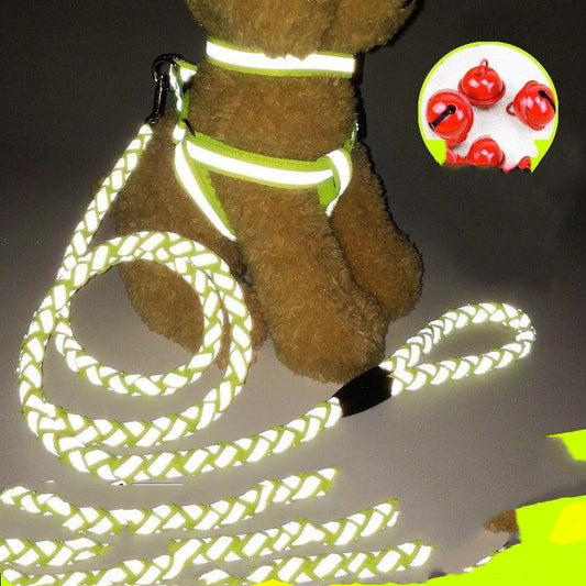 Pet dog leash - Essential Premium Quality - High Performance