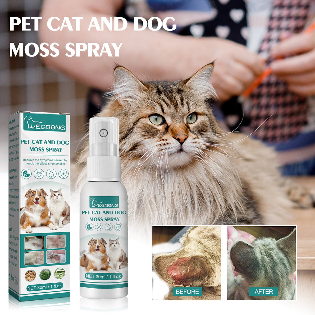 Pet Skin Care Spray: Mite Relief & Anti-Itch Treatment