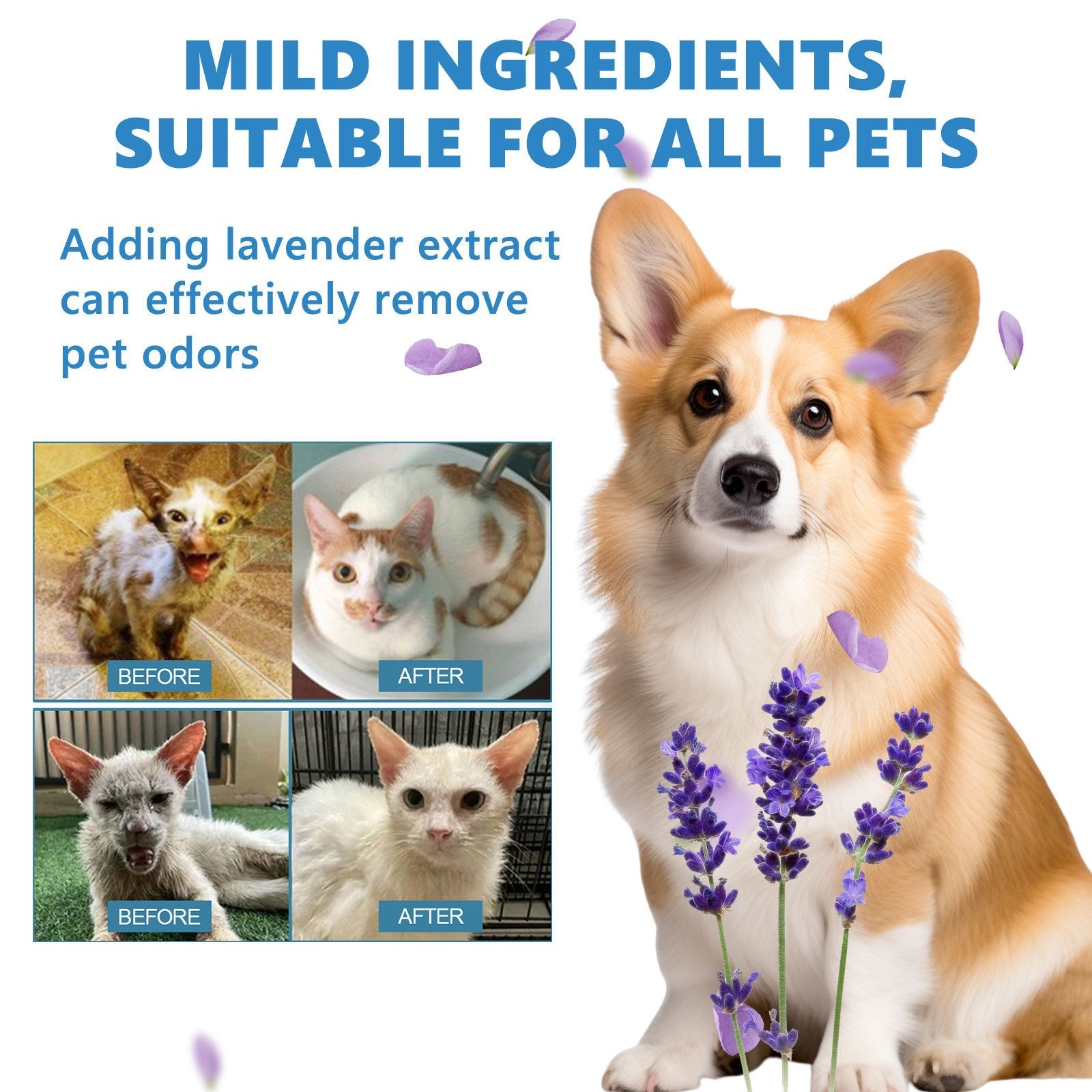 Pet Leave-In Conditioner Scented No-Rinse Coat Care Serum 8oz - Detail Angle 4 | Majestic Pet Kingdom