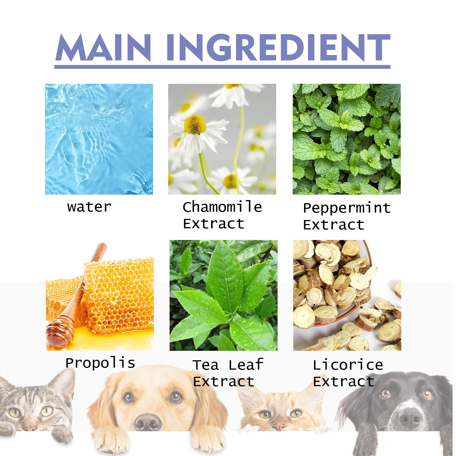 Dog & Cat Tooth Cleaning Spray: Pet Mouth Deodorizing Spray