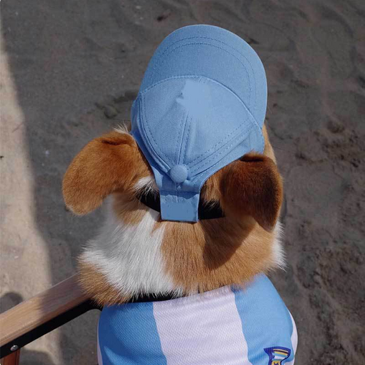 pet-dog-outdoor-photography-leisure-sunshade-hat-with-ear-holes-adjustable-corgi-baseball-cap-luxury-view-2 | Majestic Pet Kingdom