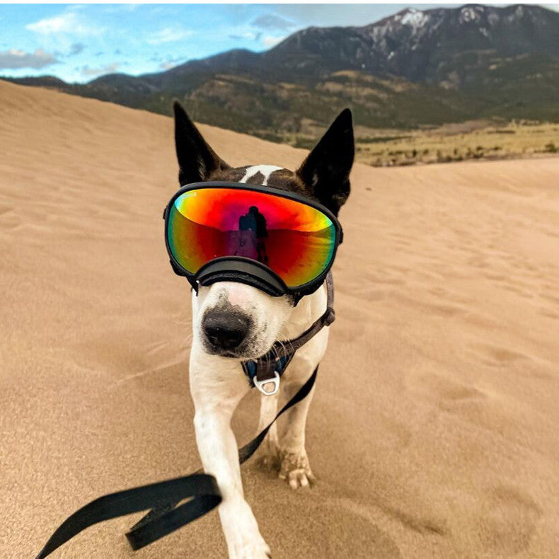 Fashion Personality Dog Skiing Goggles - Purrfect Pet Kingdom™