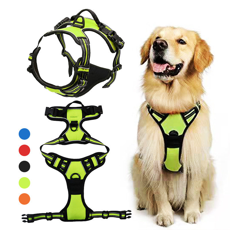 Dog Leash Heavy Duty Nylon Walking Lead with Padded Handle - Main Feature View | Majestic Pet Kingdom