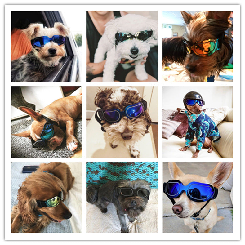 Pet supplies colorful dog glasses sunglasses Amazon cat sunglasses Pet | Majestic Pet Kingdom™