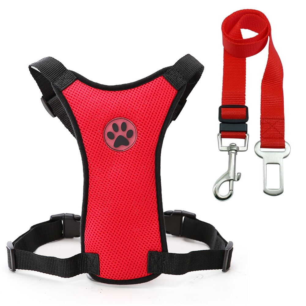 Luxury Pet Essentials - Purrfect Pet Kingdom™