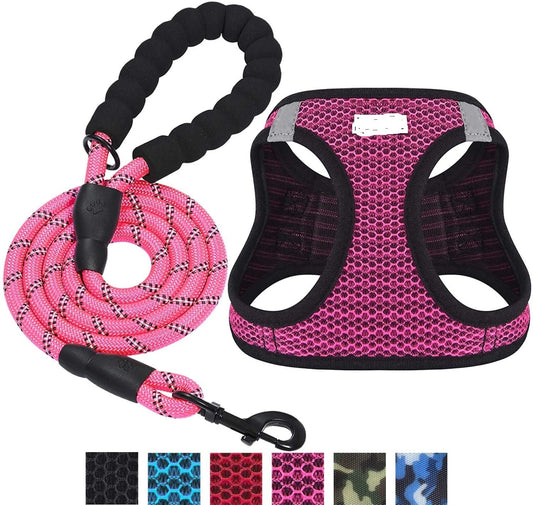 Reflective Harness & Matching Dog Leash Set for Dogs