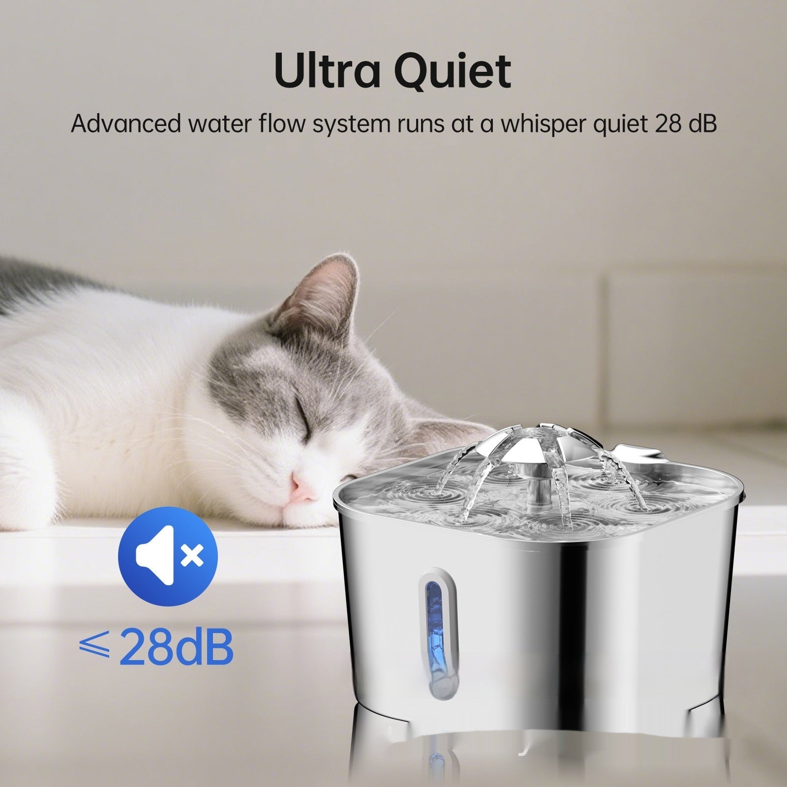 Pet Product - Premium Pet Accessory