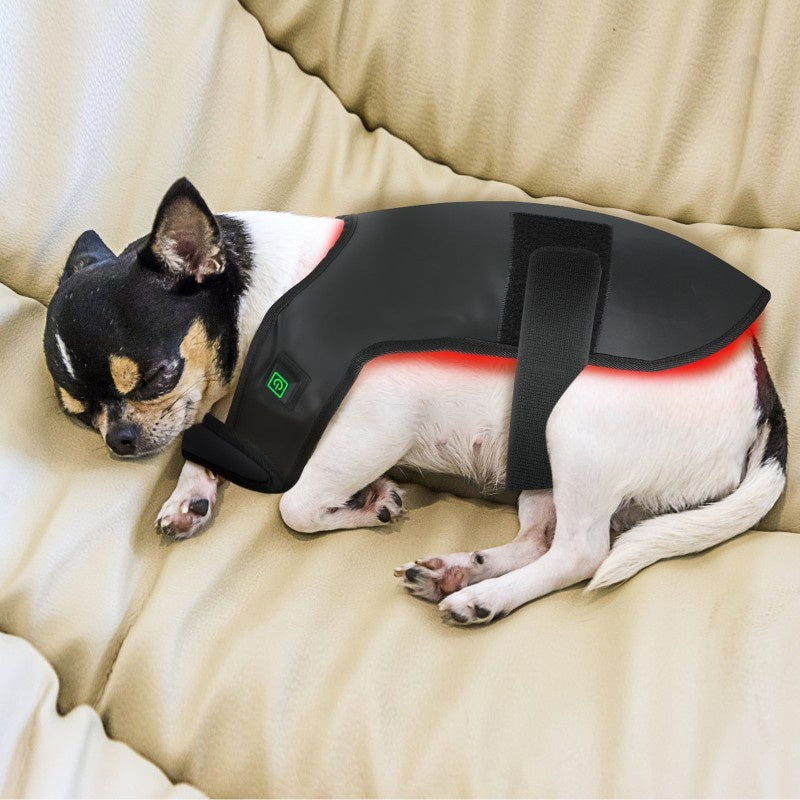 Pet Red Light Infrared Therapy Device