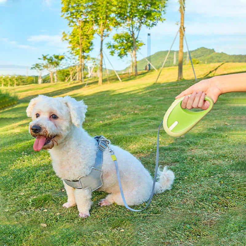3m Pet Leash For Small Dogs Cat Automatic Retractable Nylon Durable Walking Lead Puppy Outdoor Travel Pet Products 1pcs - Majestic Pet Kingdom