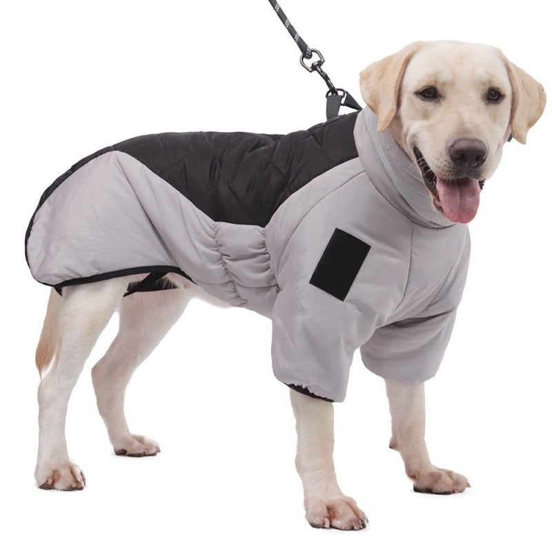 Pet Product - Premium Pet Accessory