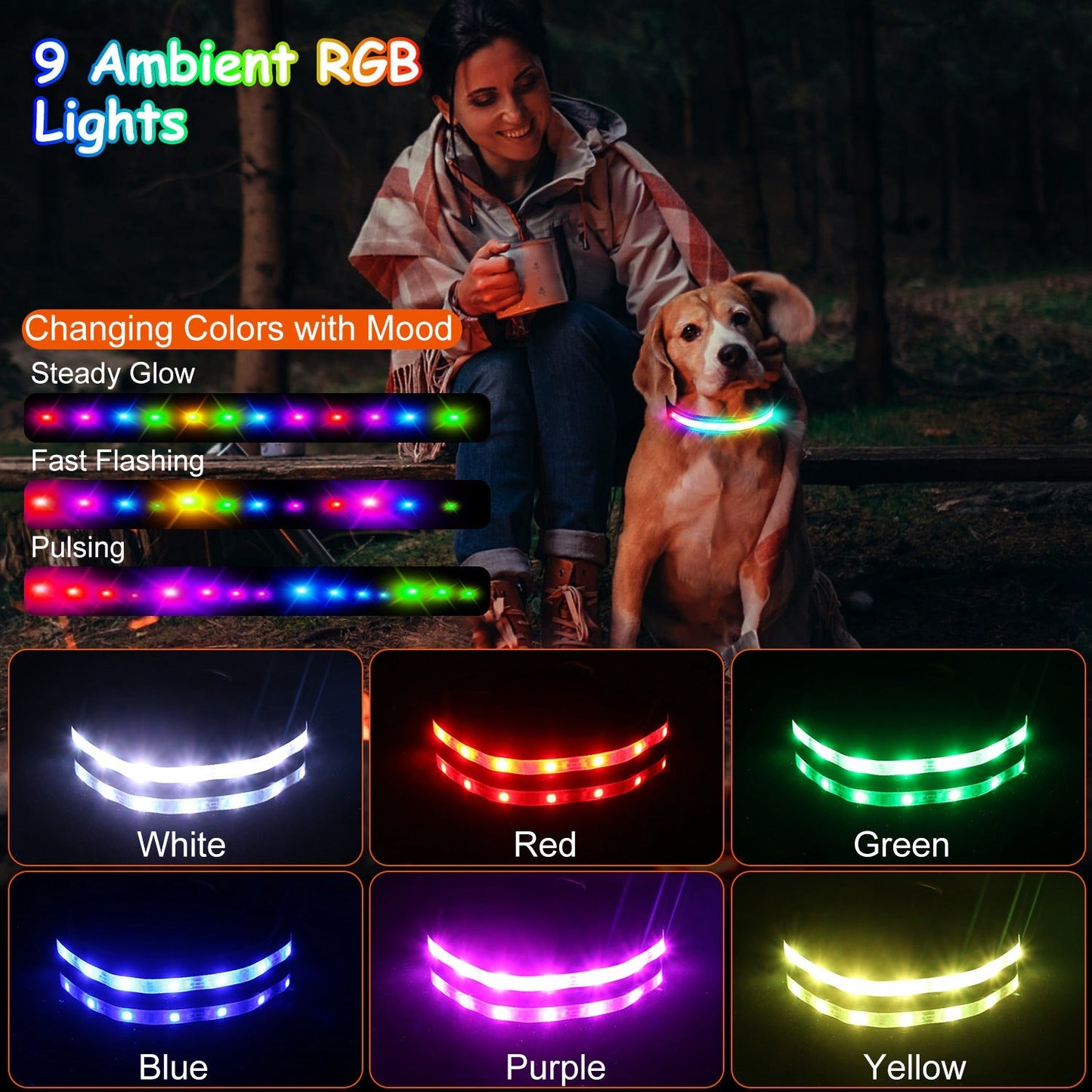 GBruno Light Up Dog Collar | Purrfect Pet Kingdom