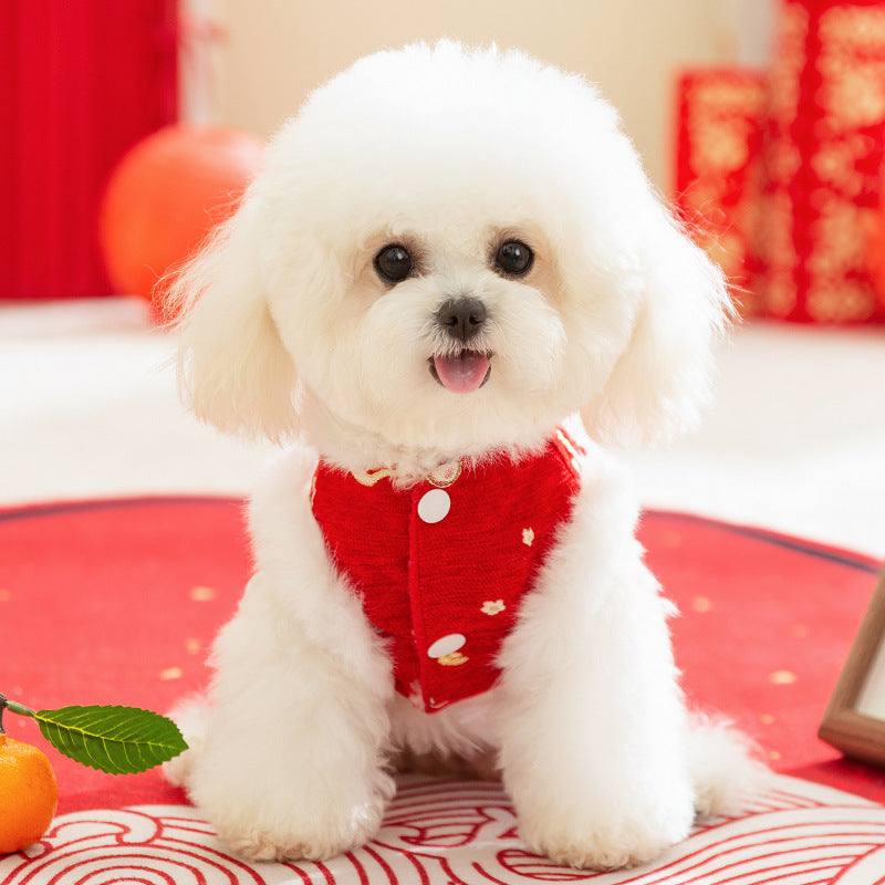 Pet Product - Premium Pet Accessory