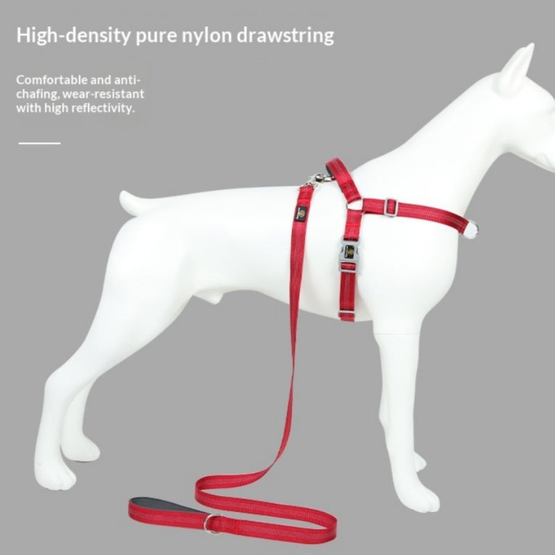 Fashionable Reflective Silk Webbing Pet Leash - Majestic Pet Kingdom