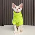Fashion Personality Ren Fa Cai Hairless Cat Clothes - Majestic Pet Kingdom