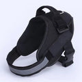 Dog Harness - Dog Leashes Item