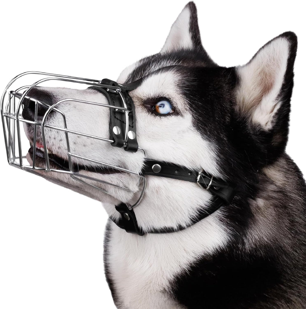 Luxury Pet Essentials - Purrfect Pet Kingdom™