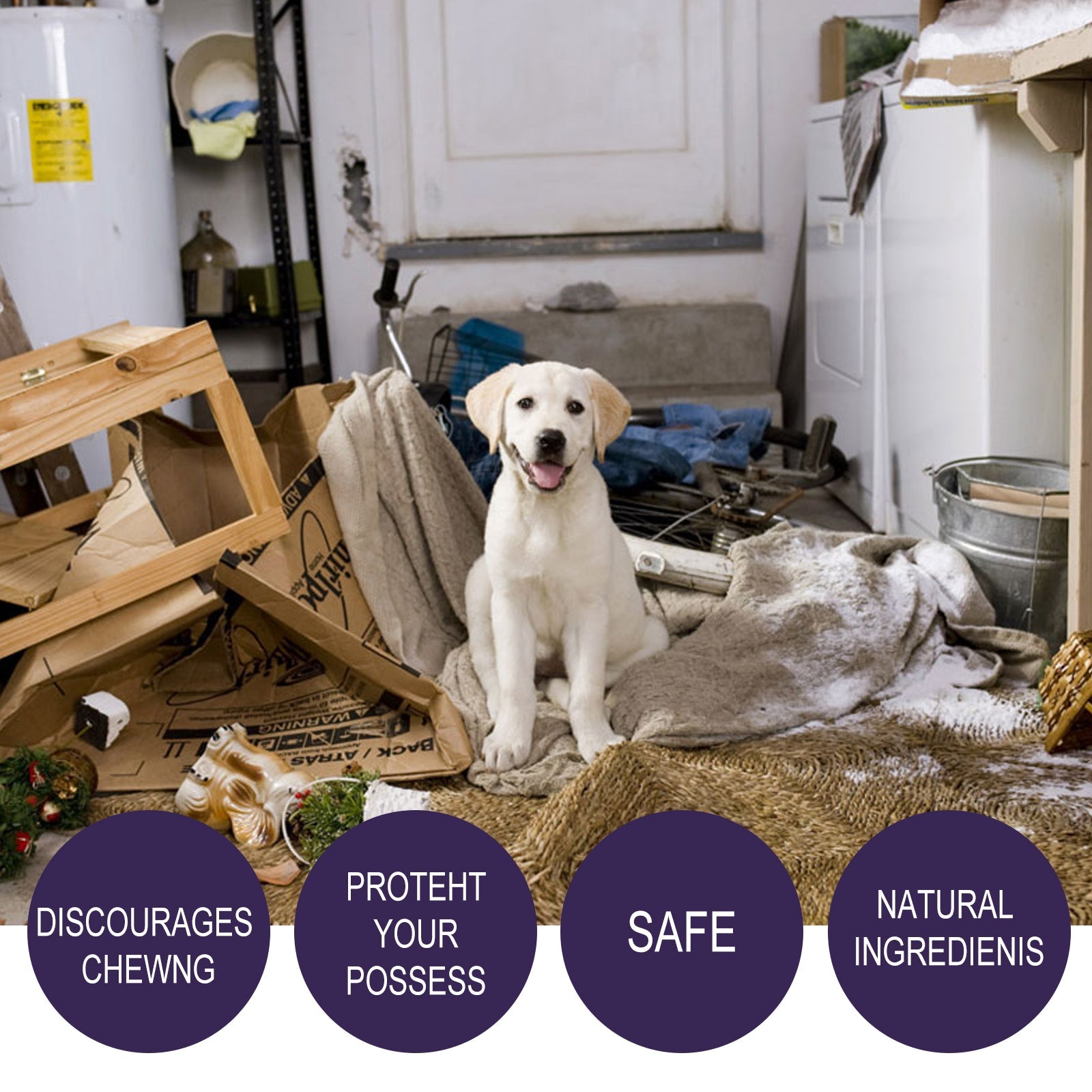 Bitter Anti-Chewing Spray for Dogs & Cats: Furniture Guard - Majestic Pet Kingdom