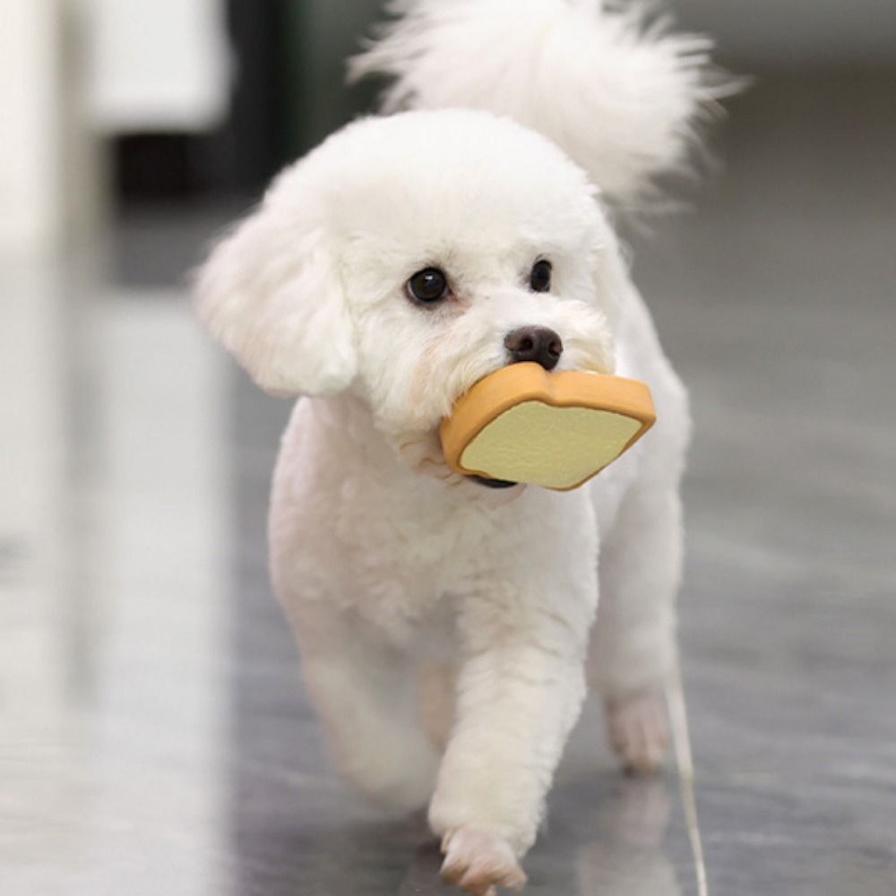 Cute Cartoon Pattern Latex Toy Egg Bread Shape Anti Squeeze Puppy Chew Toys Bite Resistant Dog Squeaky Toy For Training