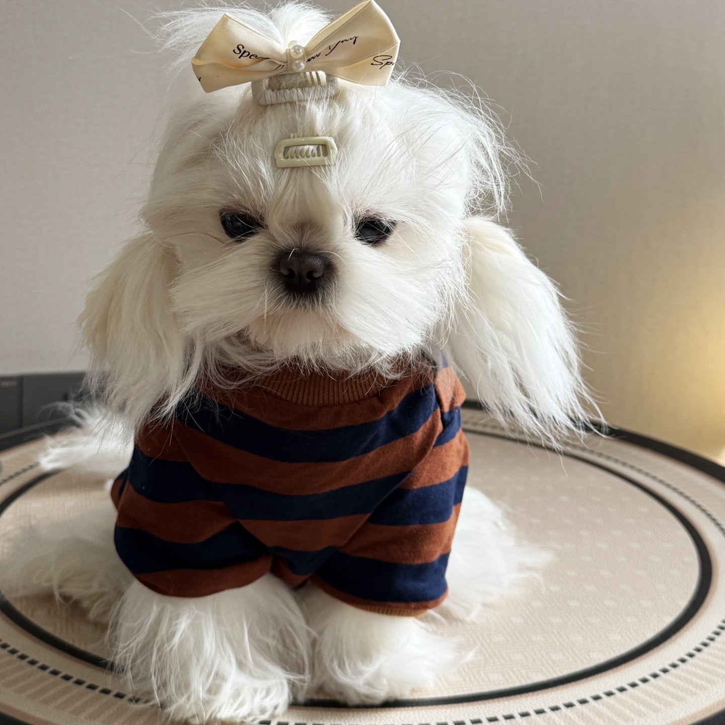 Pet Product - Premium Pet Accessory