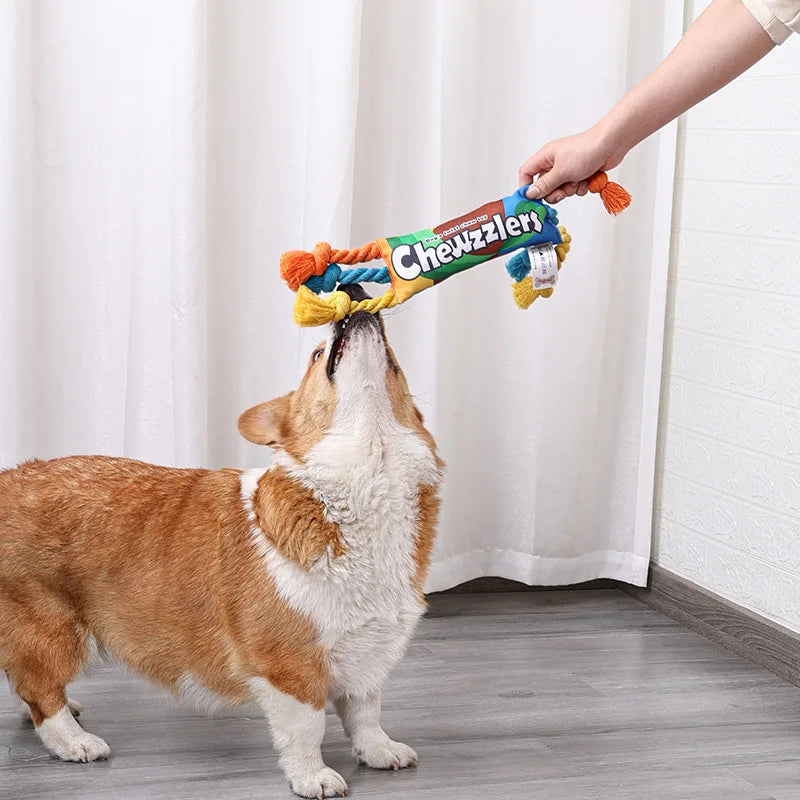Dog Cotton Chew Rope: Braided Teeth Cleaning Toy