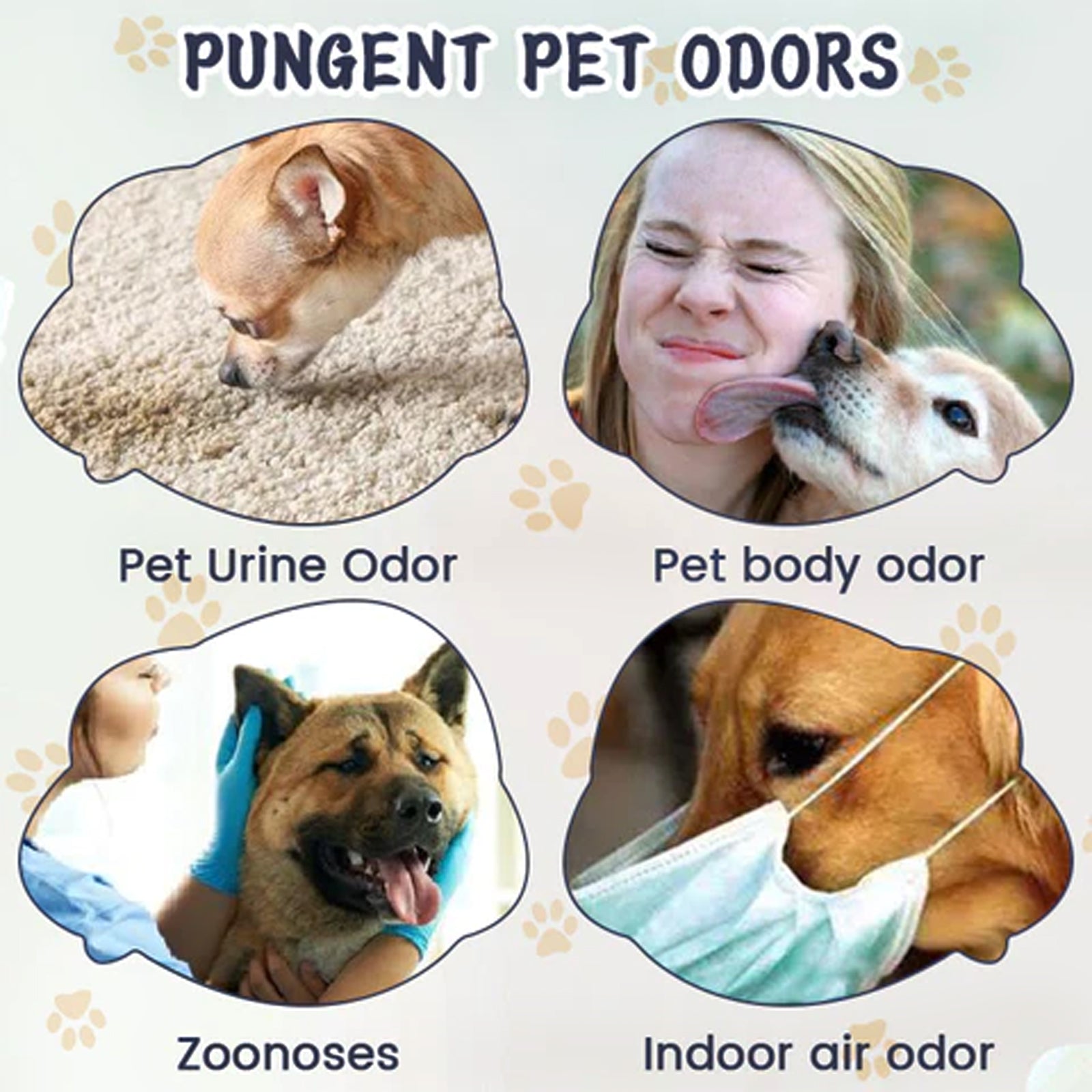 Pet Odor & Stain Eliminator, Clean Dog And Cat Body Odor Feces Odor Removal Indoor Fresh Deodorizer - Majestic Pet Kingdom