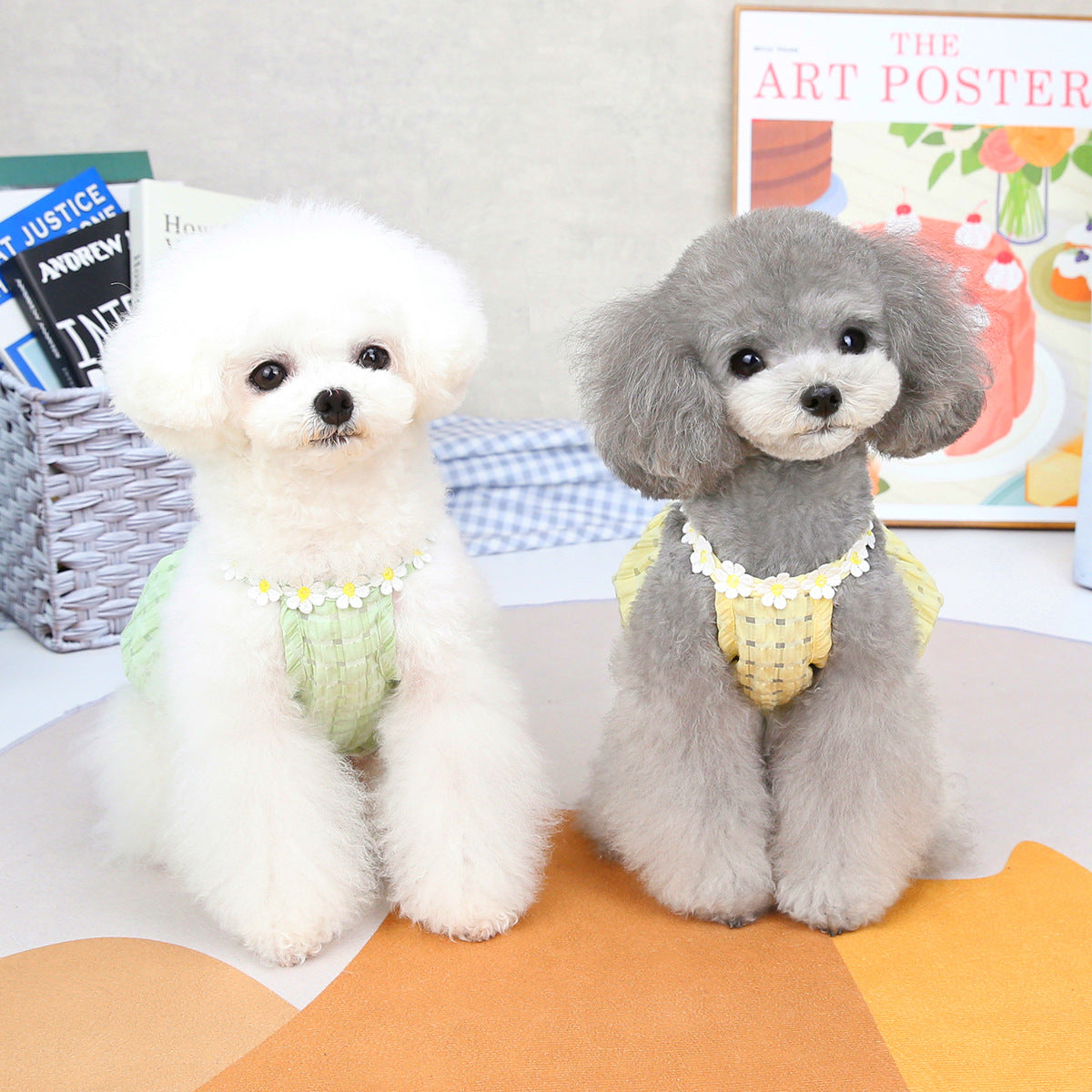 Dog Lantern Sleeve Skirt: Summer Small Pet Dress